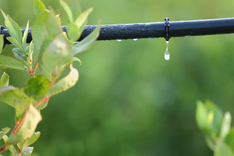 Drip Line Installation