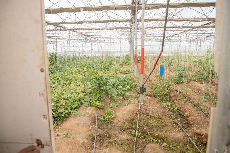 Farm Irrigation Installation in Ventura County, CA