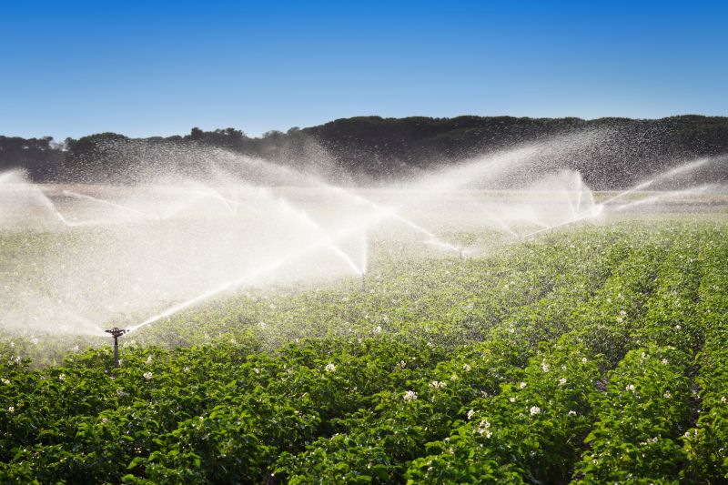 Garden Irrigation Installation in Aiken, SC