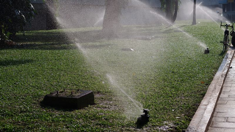 Mist Irrigation Installation in Honolulu, HI