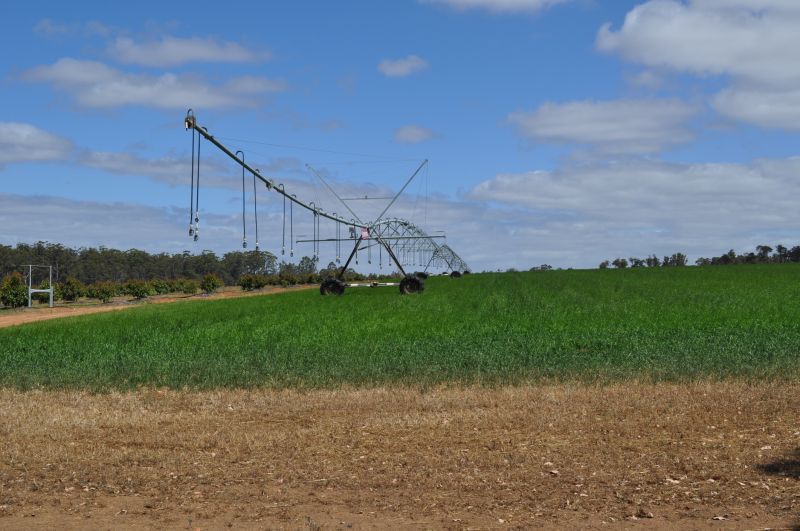 Plant Irrigation Installation in Aiken, SC