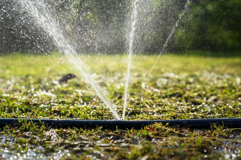 Watering System Installation in Ventura County, CA