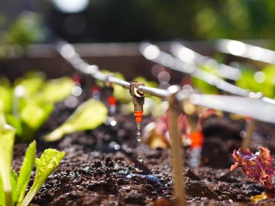 Deliver Water Directly to Plants Where it is Needed!