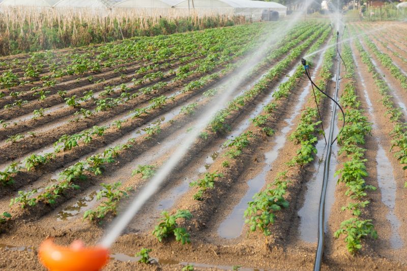 Crop Irrigation Installation in Honolulu, HI